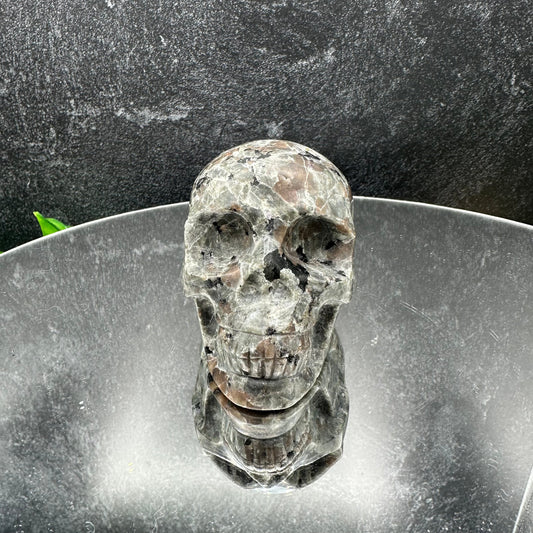 Yooperlite Skull