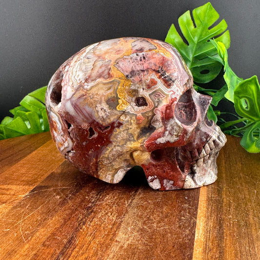 Mexican Crazy Lace Druzy Agate Skull