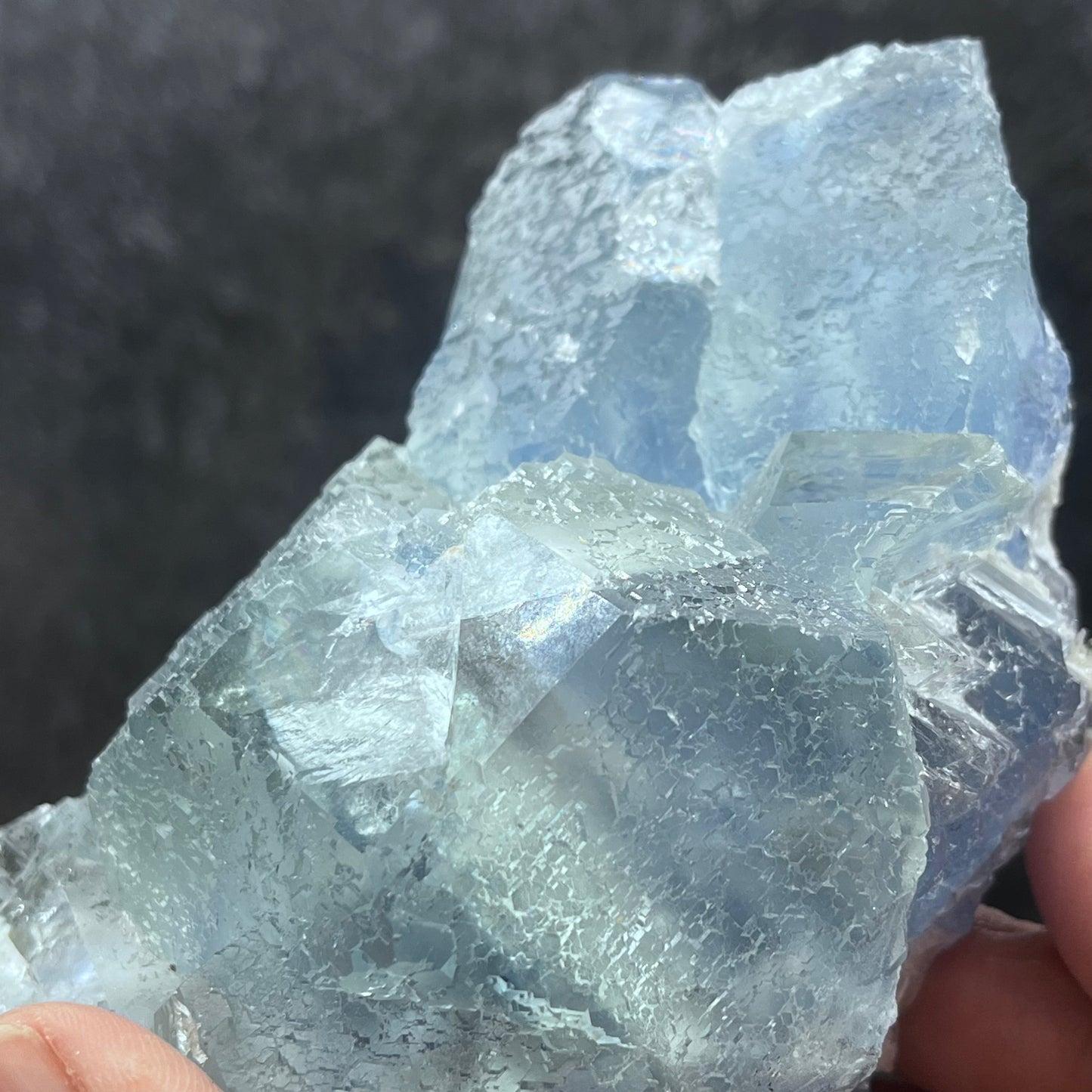 Blue Bi Color Fluorite