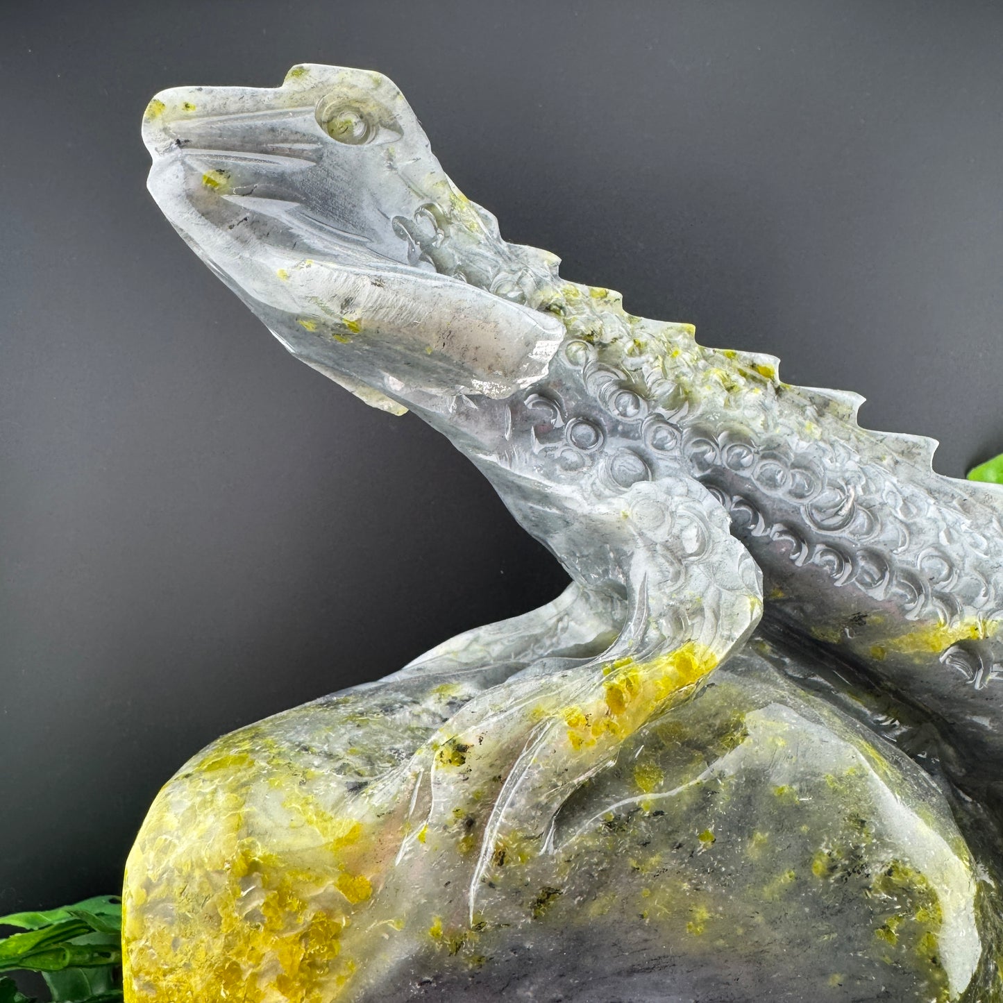 Lantian Jade Lizard