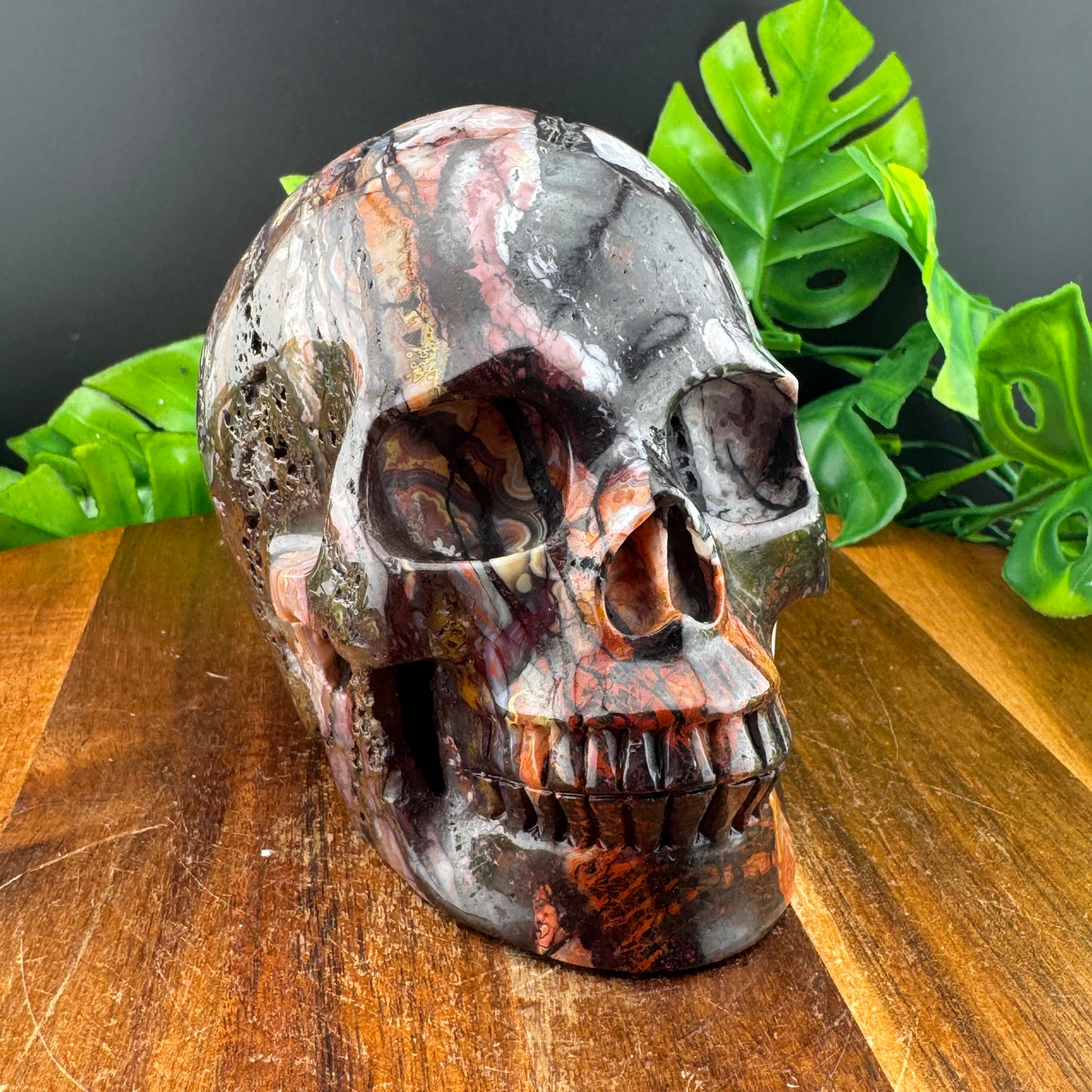 Mexican Crazy Lace Agate Skull