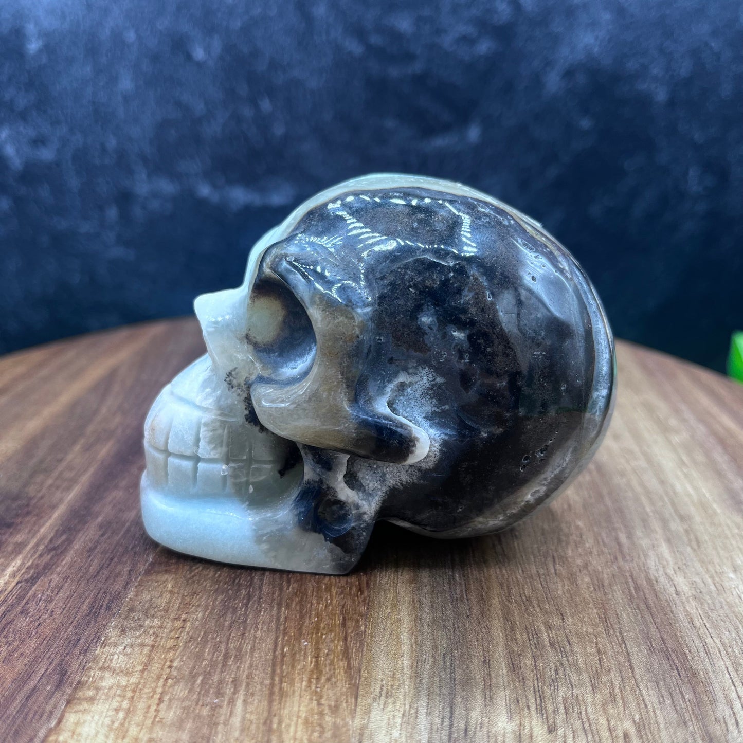 Caribbean Calcite Skull