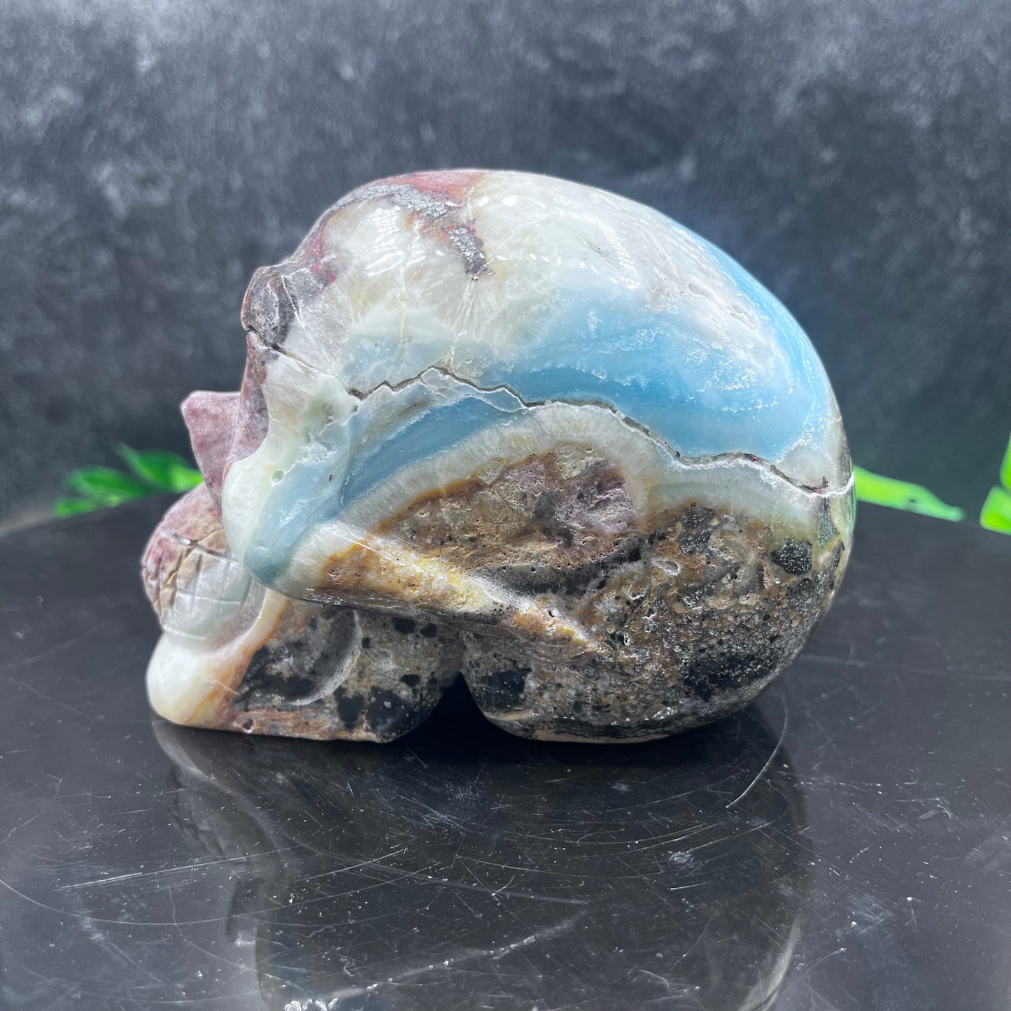 Caribbean Calcite Skull