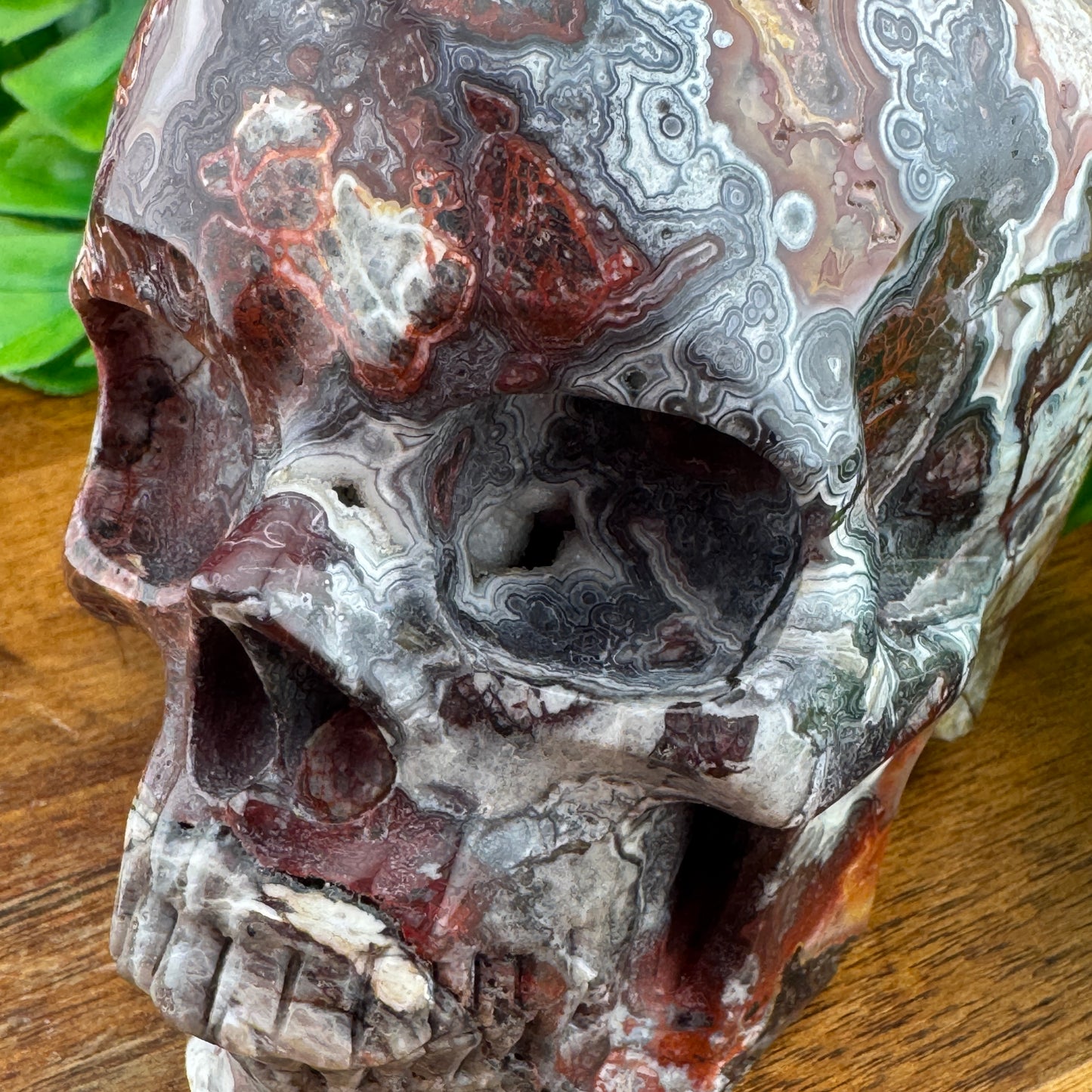 Mexican Crazy Lace Druzy Agate Skull