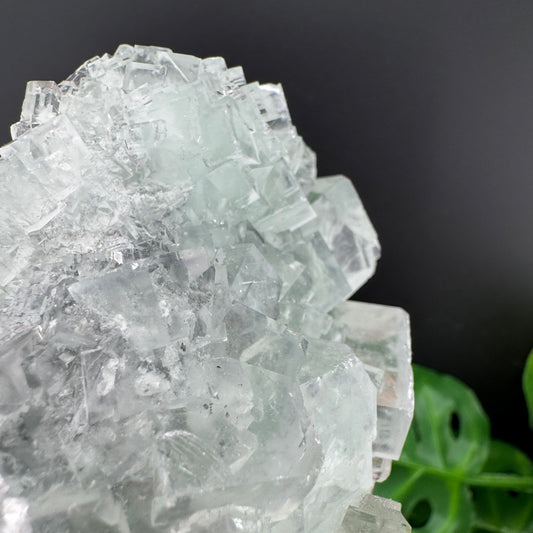 Glassy Green Fluorite Cluster Specimen