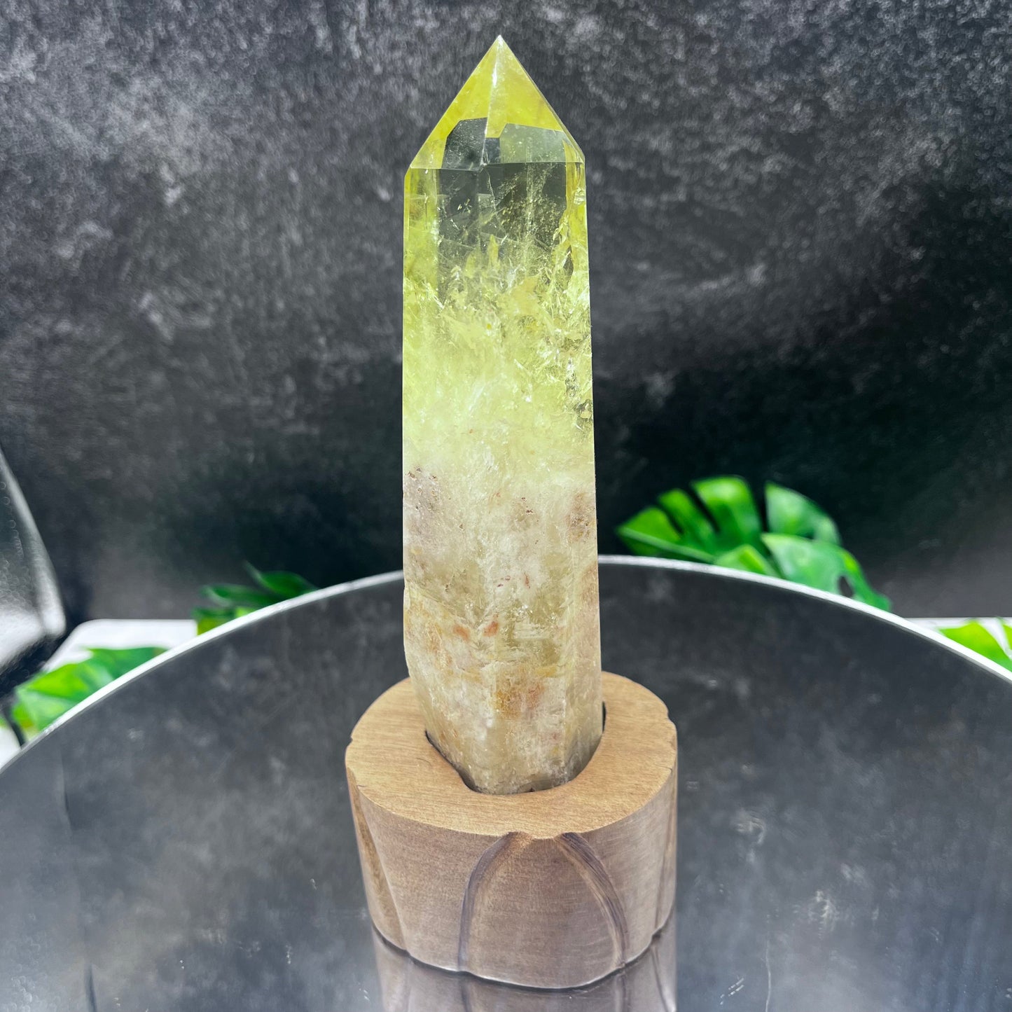 Ouro Verde Quartz in Wooden Stand