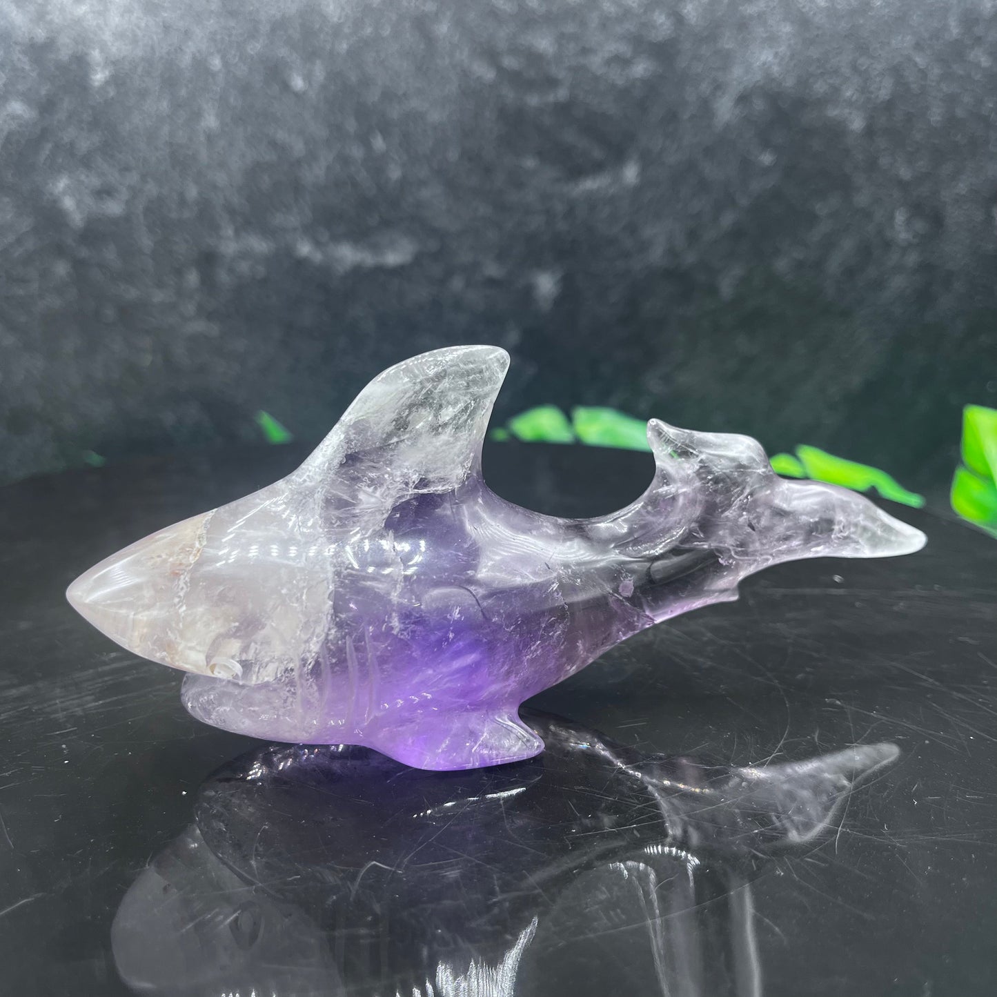 Amethyst Shark