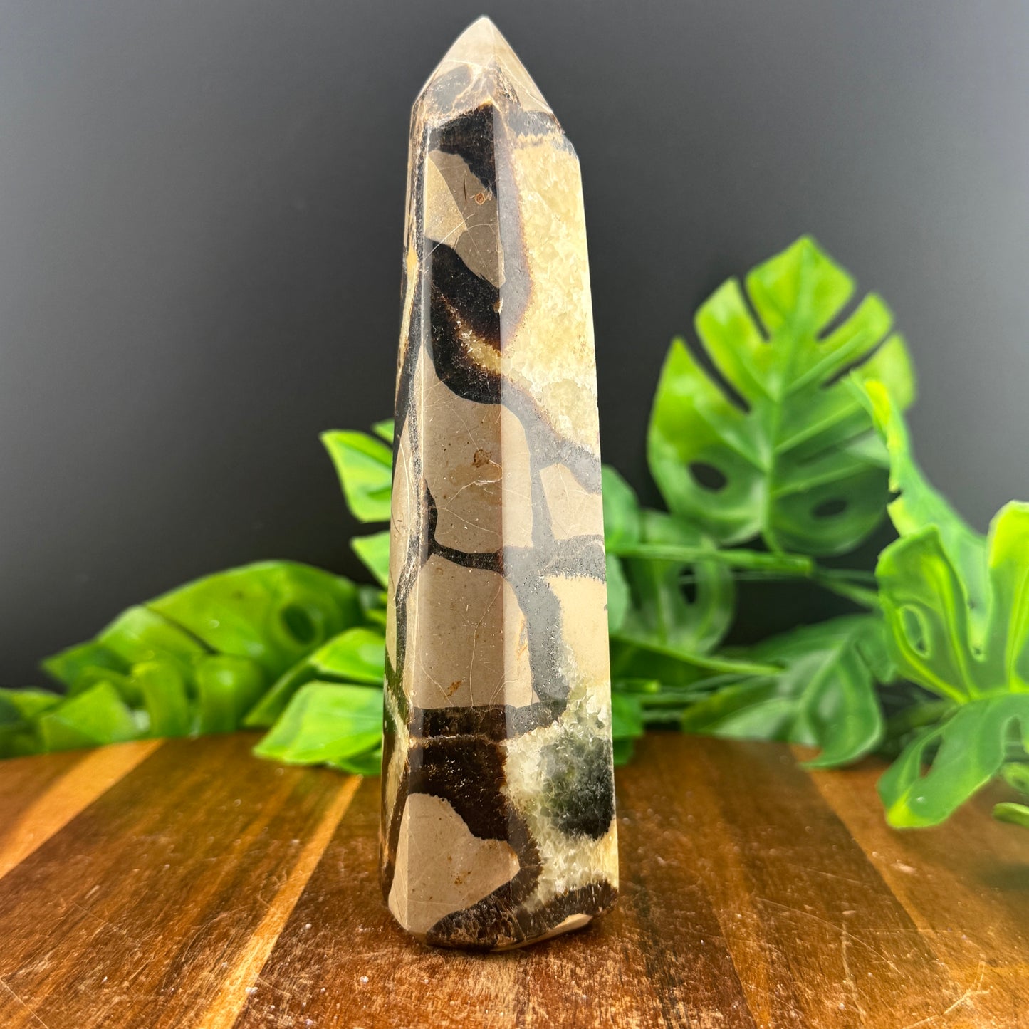 Septarian Tower