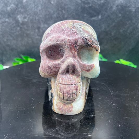 Caribbean Calcite Skull