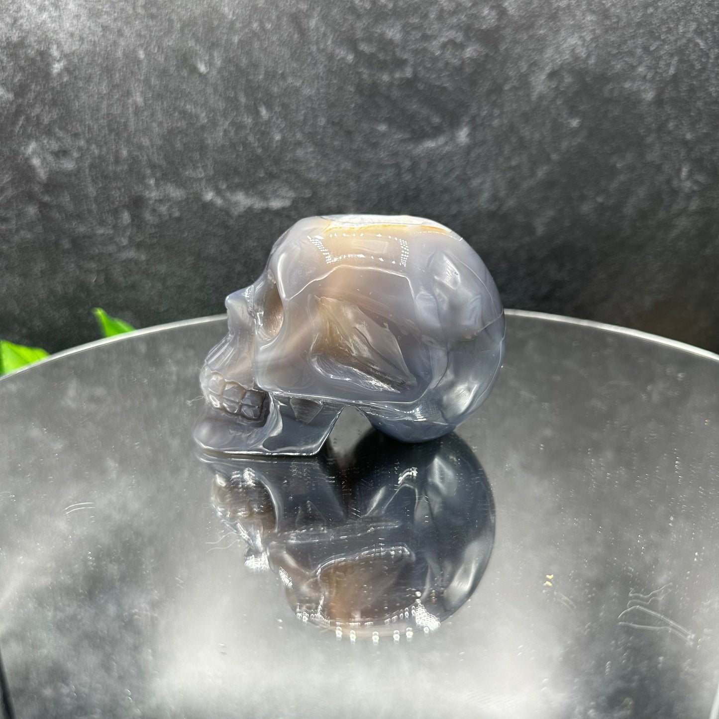 Amethyst Druzy Purple Agate Skull