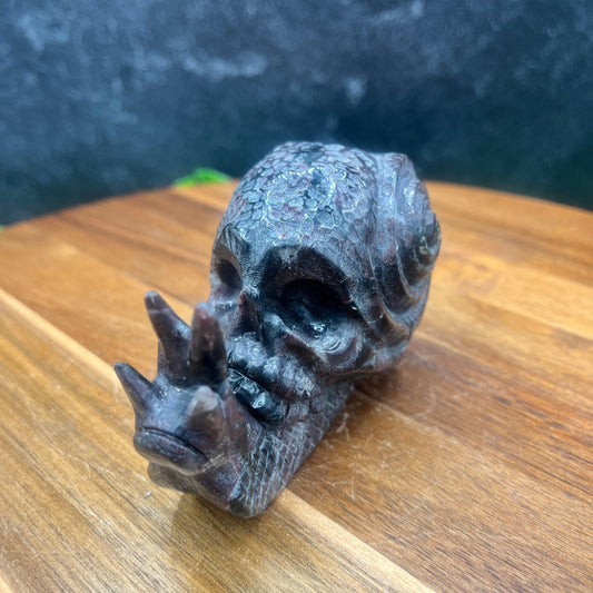 Garnet Skull Snail