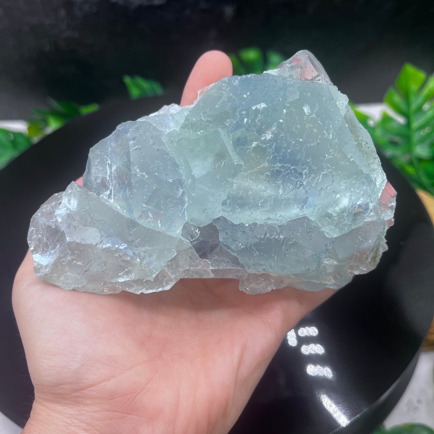 Blue Bi Color Fluorite