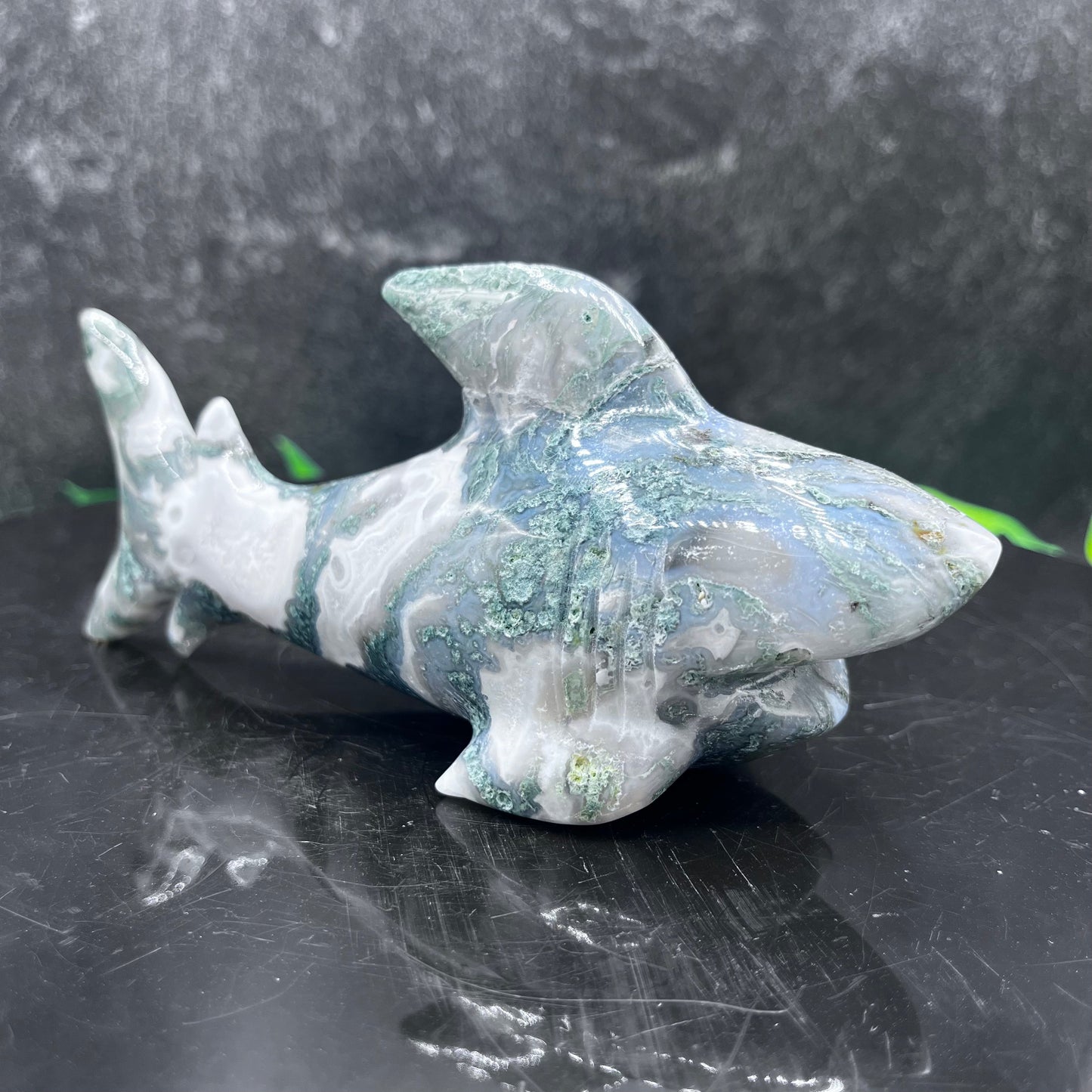 Moss Agate Shark