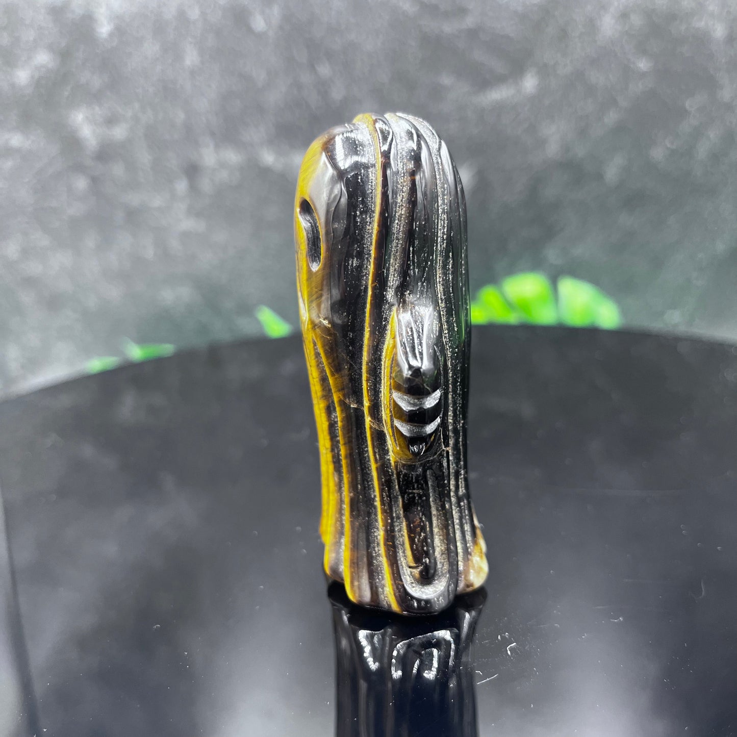 Tiger Eye Spooked Ghost