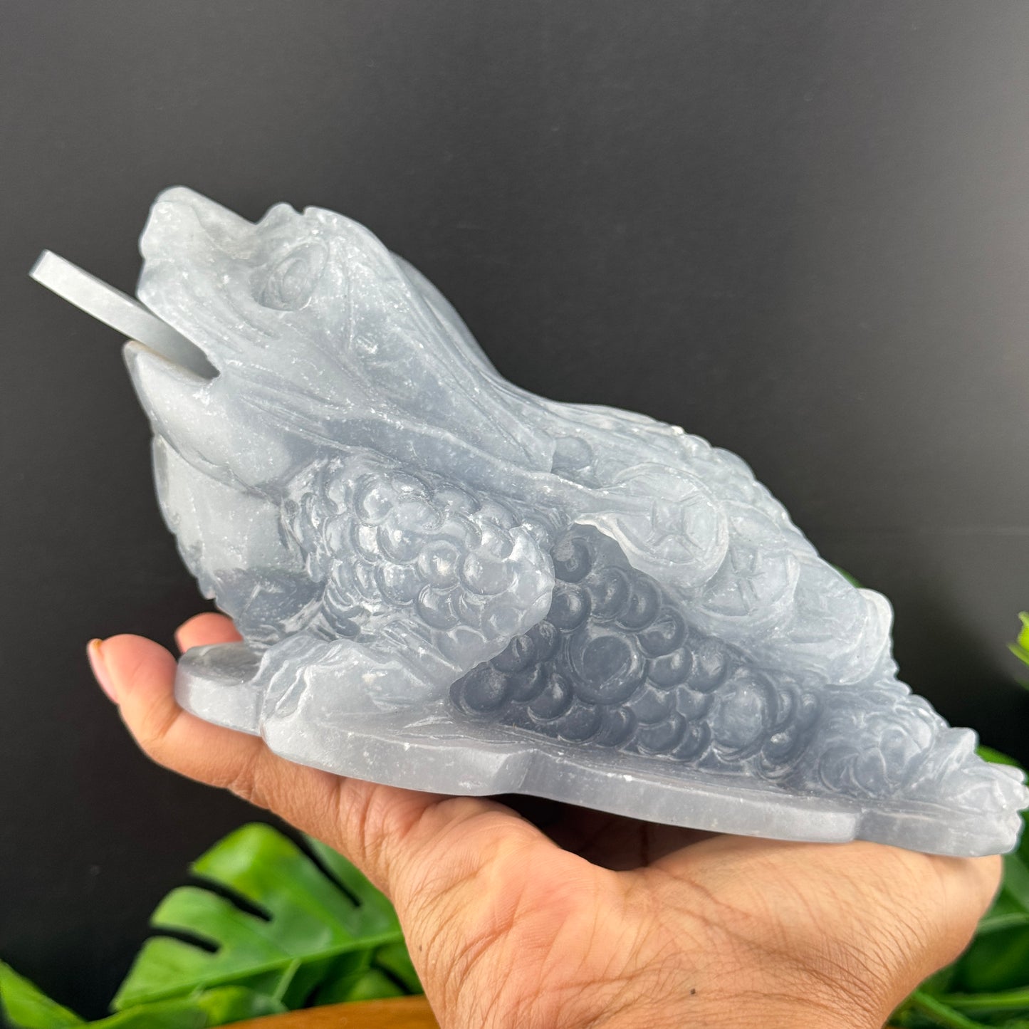 XL Angelite Money Toad