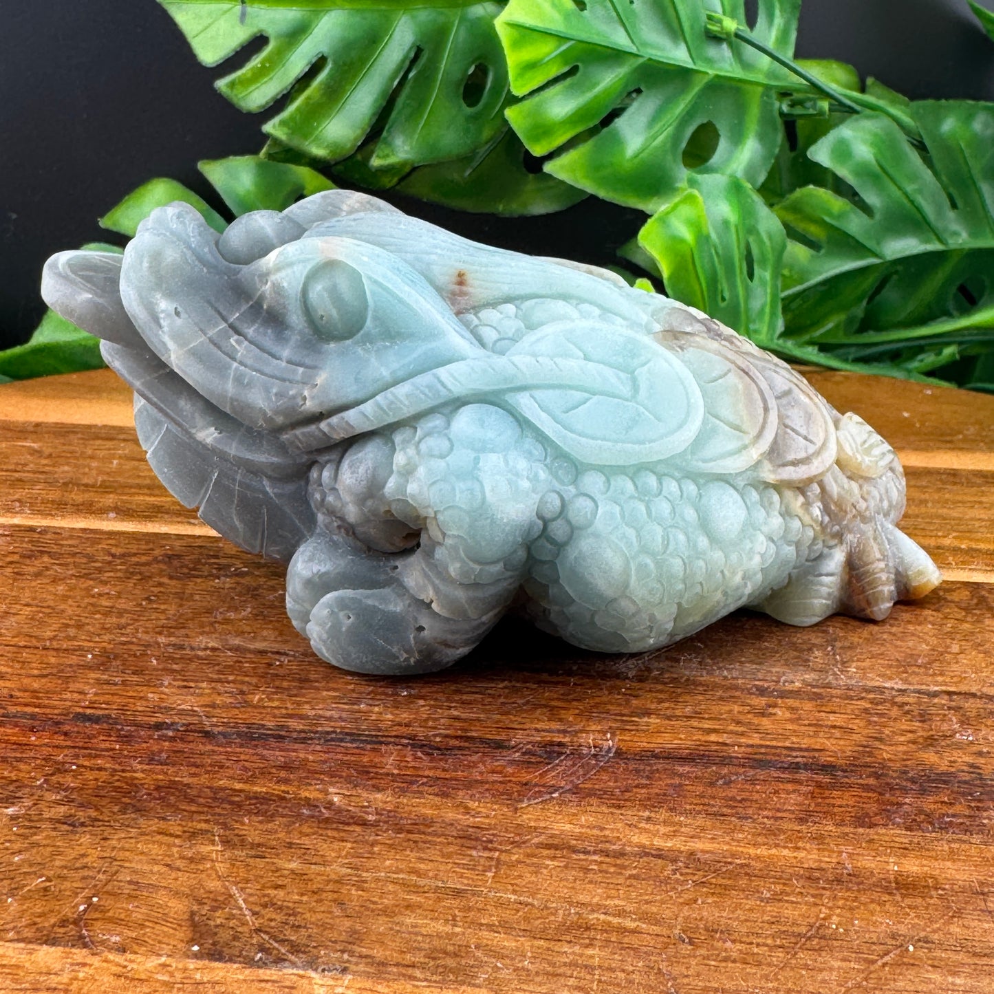 Amazonite Money Toad