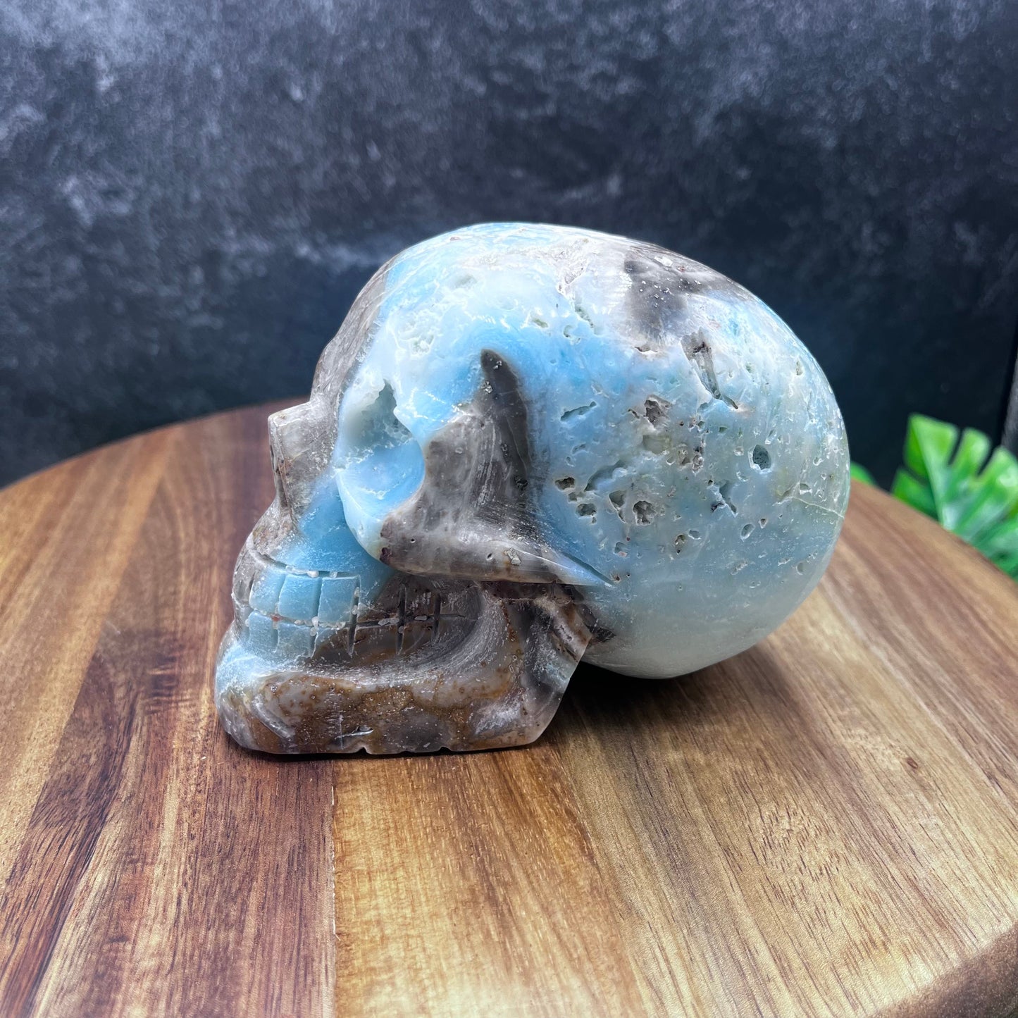 Caribbean Calcite Skull