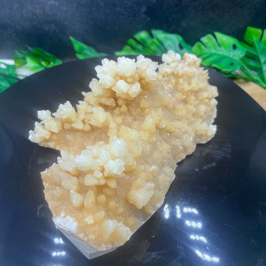 Coral Calcite Specimen