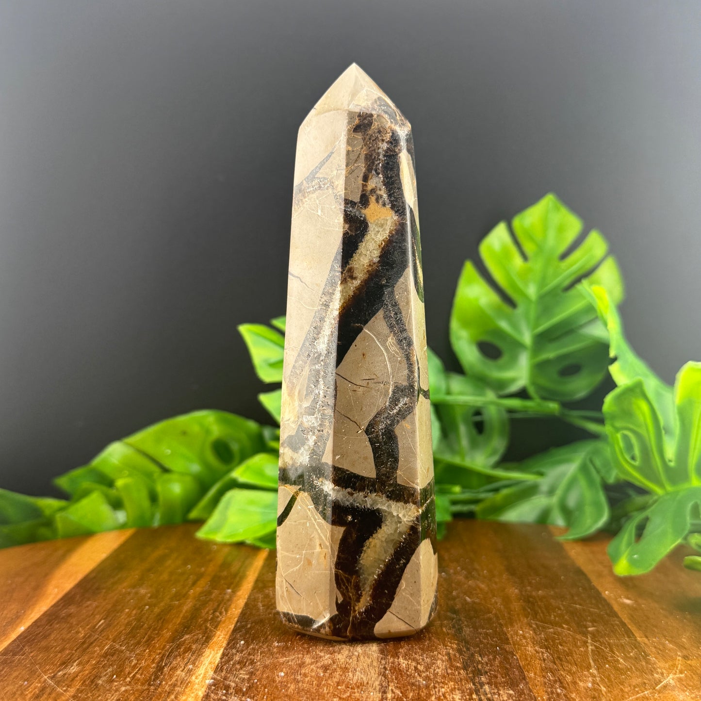 Septarian Tower