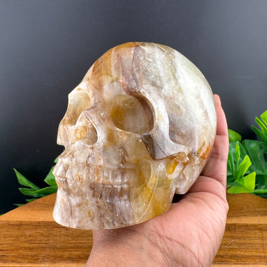 Golden Healer Skull