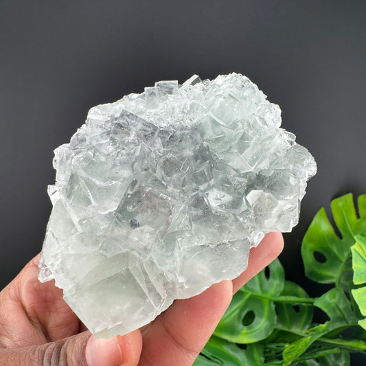 Glassy Green Fluorite Cluster Specimen