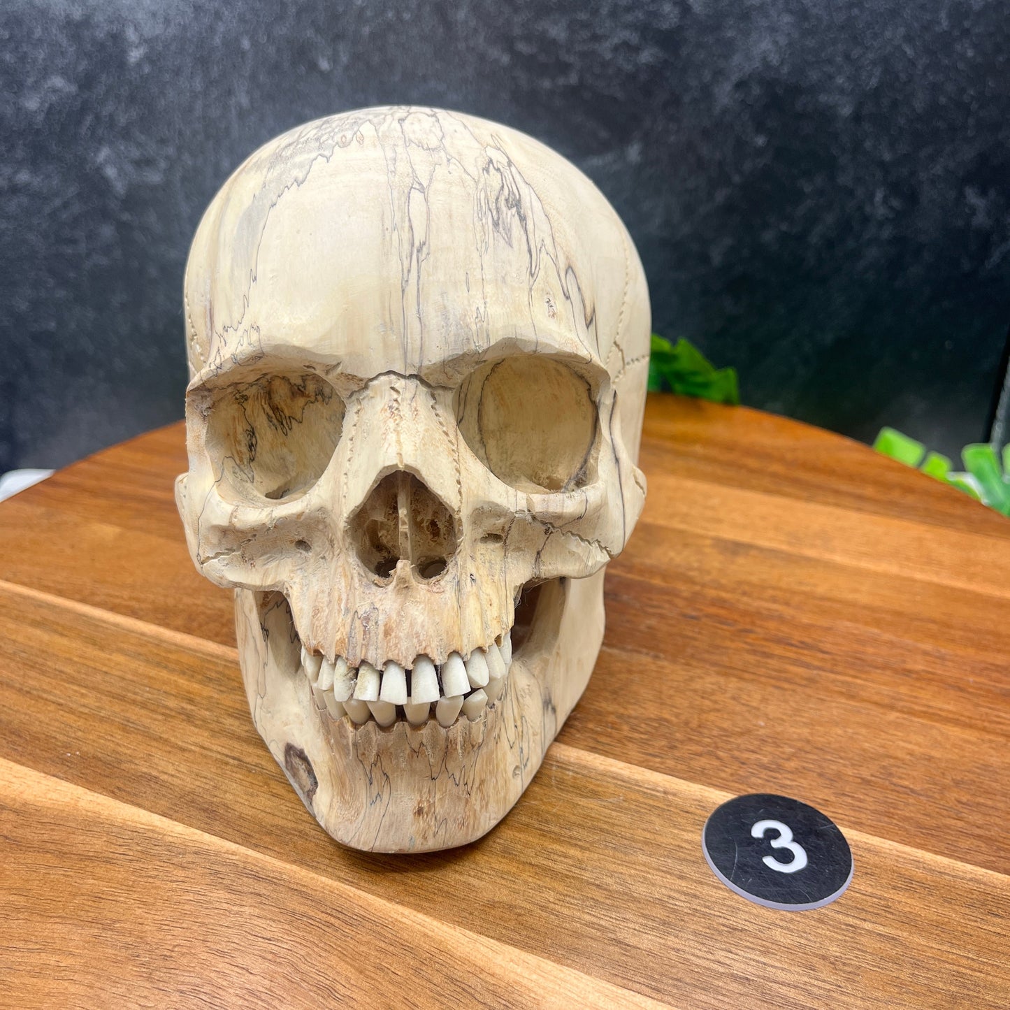Tamarind Wood Skull