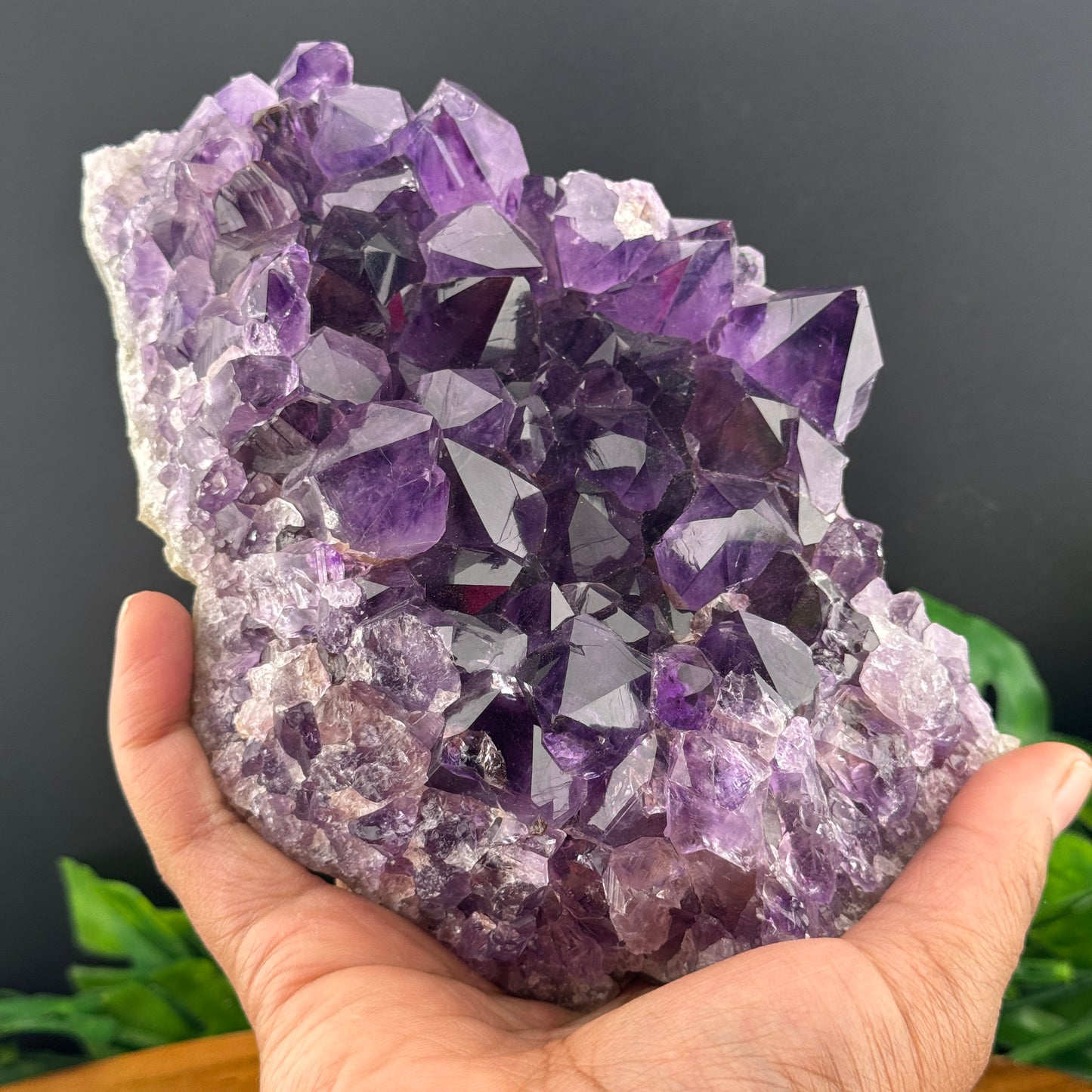 Grape Jelly Amethyst Cluster