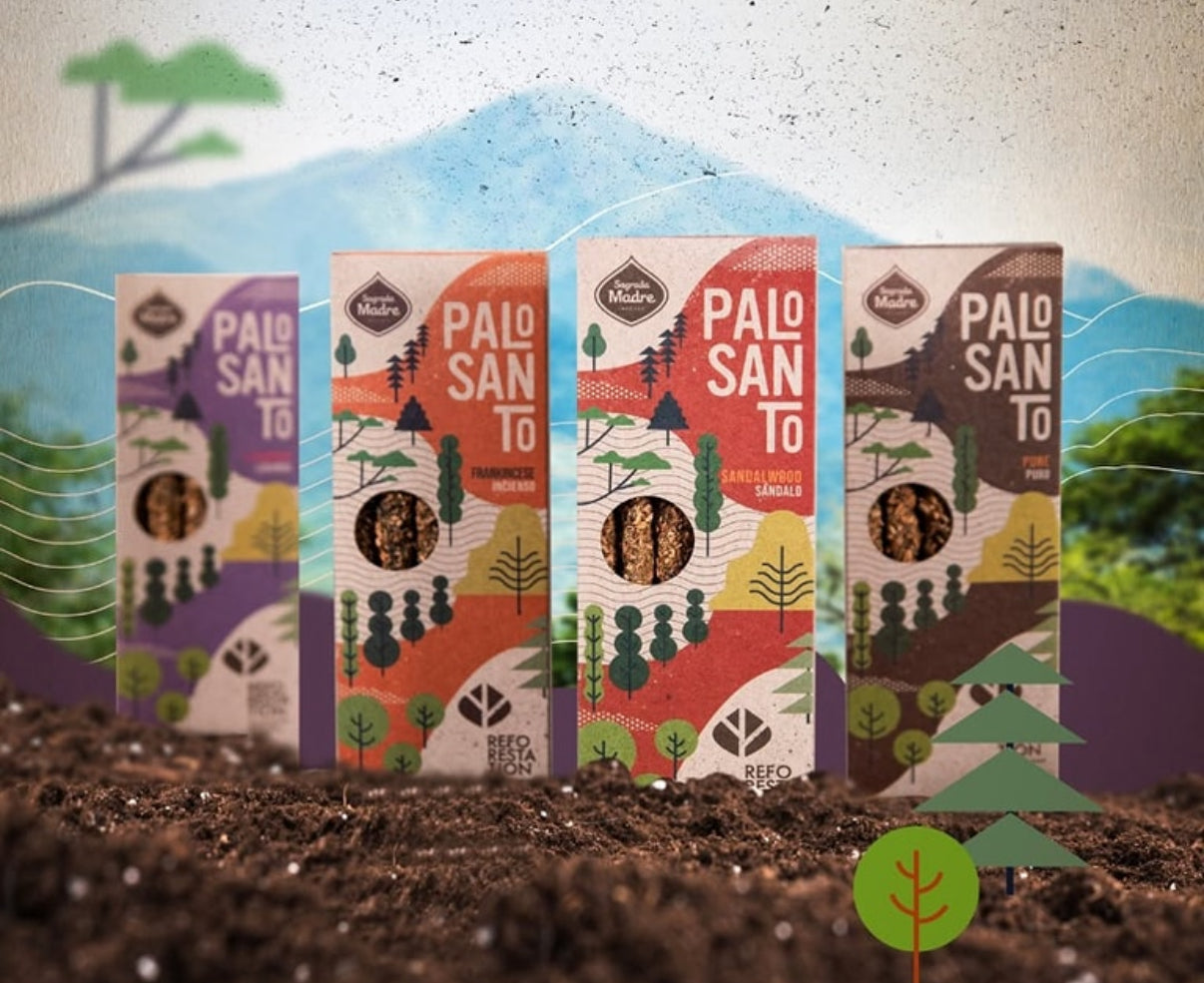 Pure Palo Santo Shorts | Sustainable