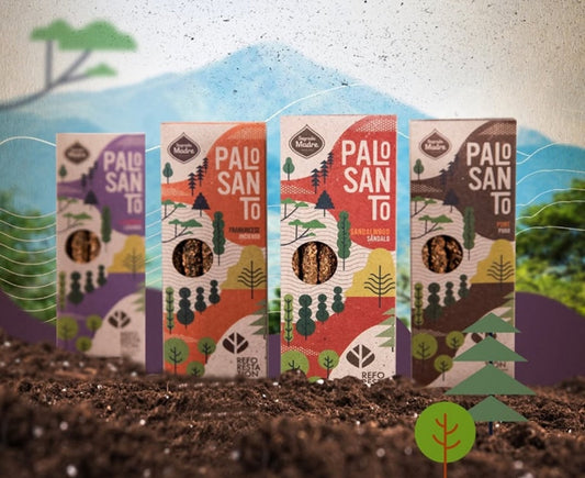 Pure Palo Santo Shorts | Sustainable