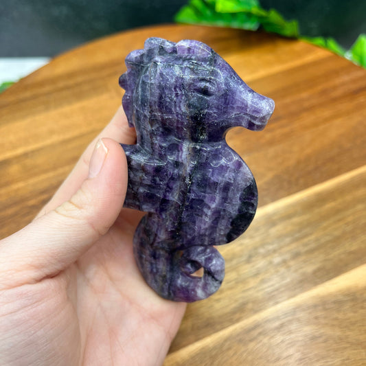 Purple Fluorite Seahorse