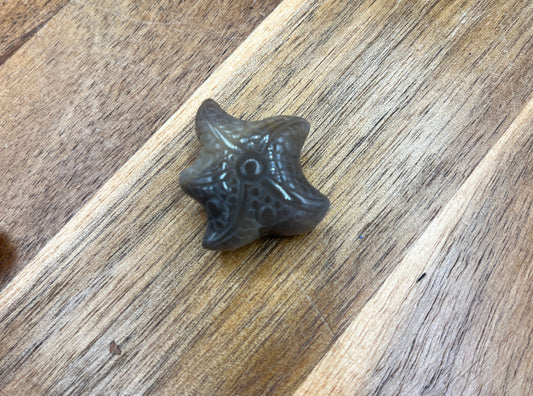 Sunstone Moonstone Starfish