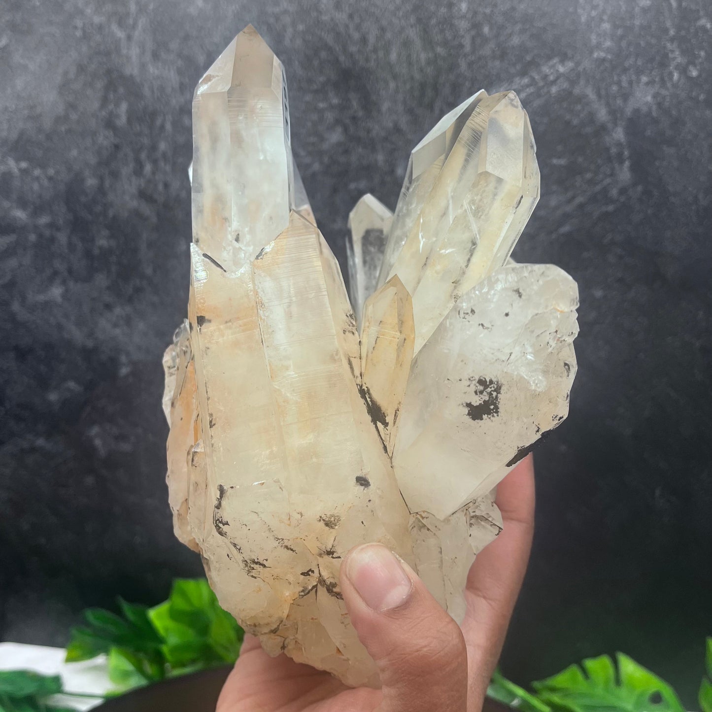 Tangerine Lemurian Quartz Cluster