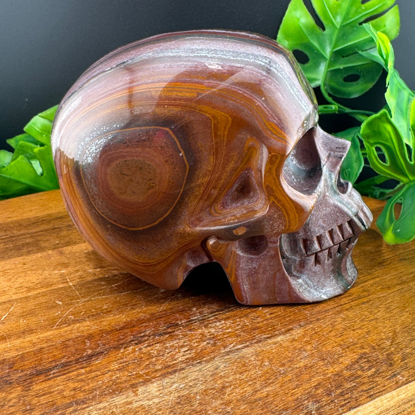 Rare Pink and Burgundy Tiger Iron Skull