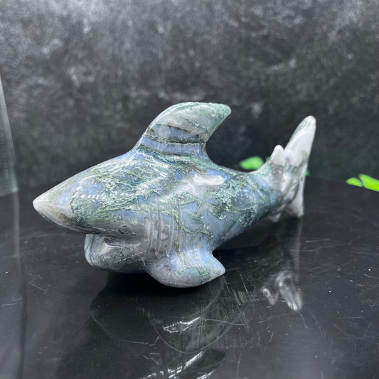 Moss Agate Shark