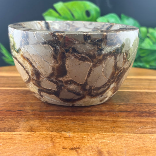 Septarian Bowl