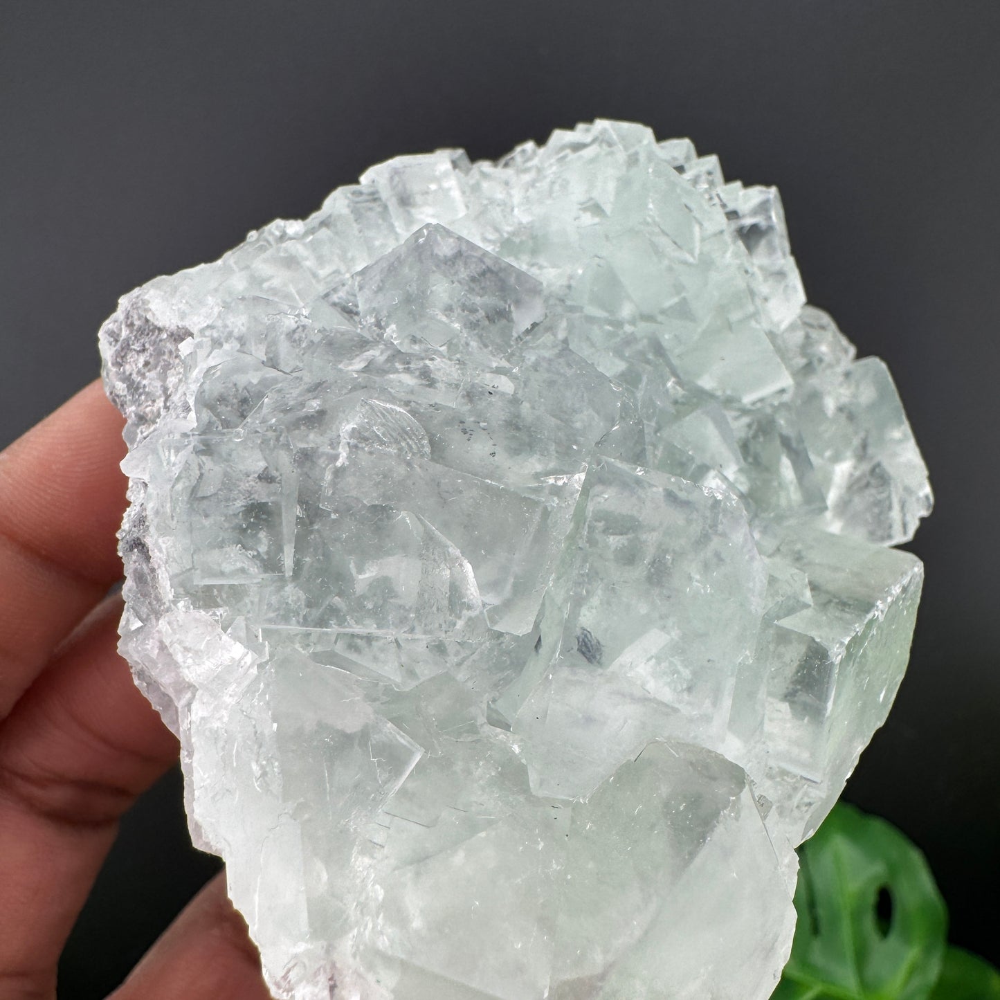 Glassy Green Fluorite Cluster Specimen