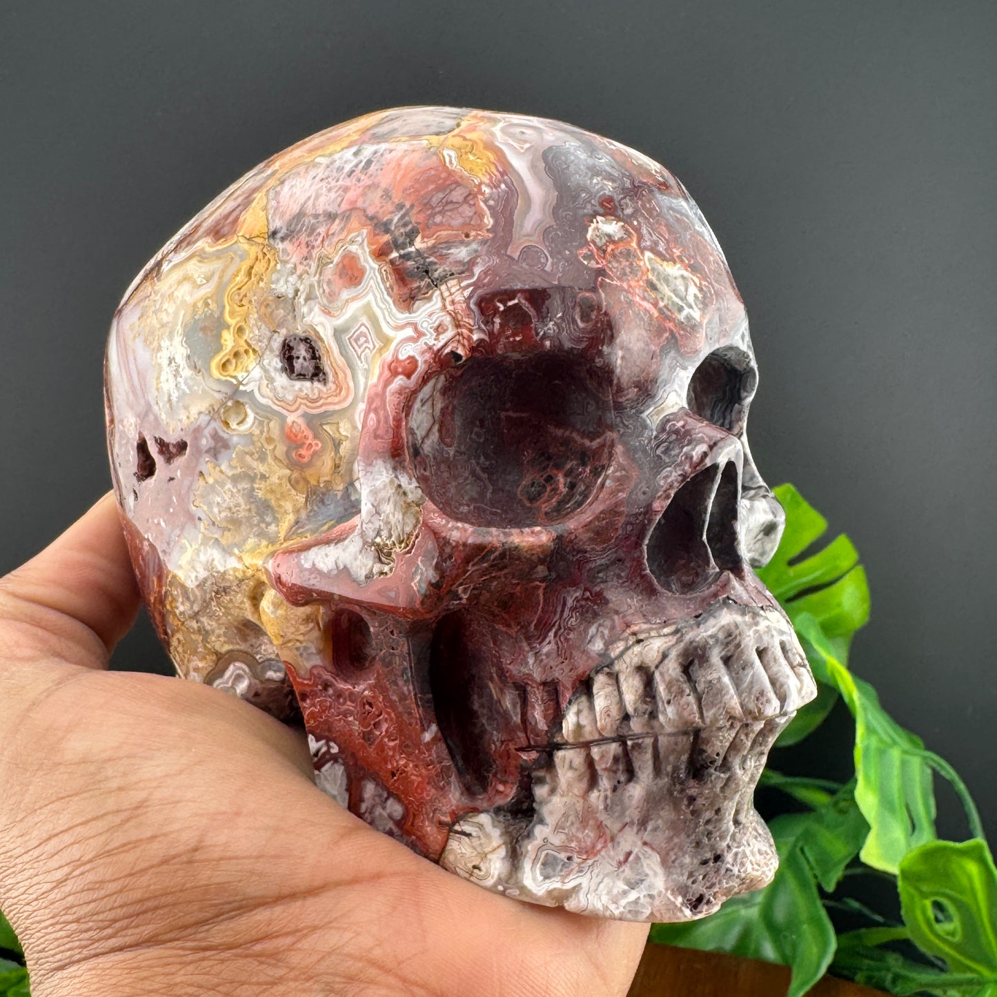 Mexican Crazy Lace Druzy Agate Skull