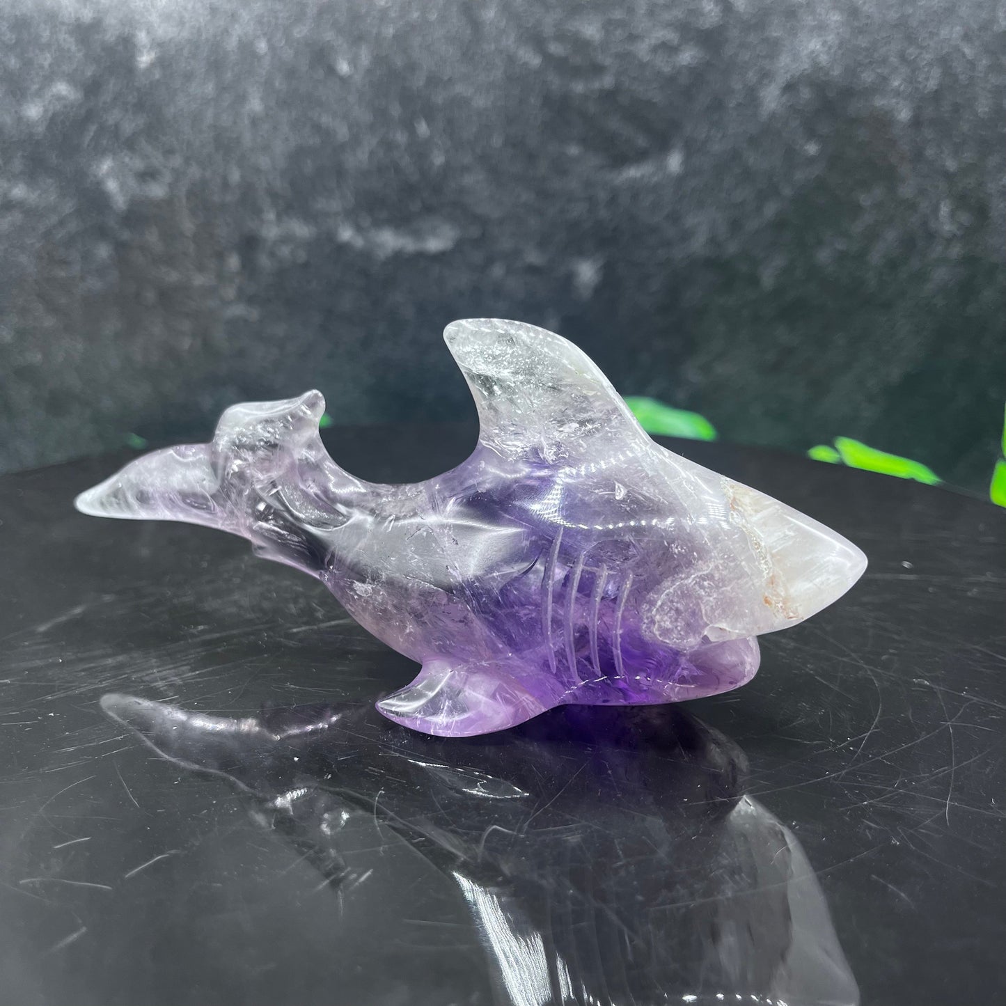 Amethyst Shark