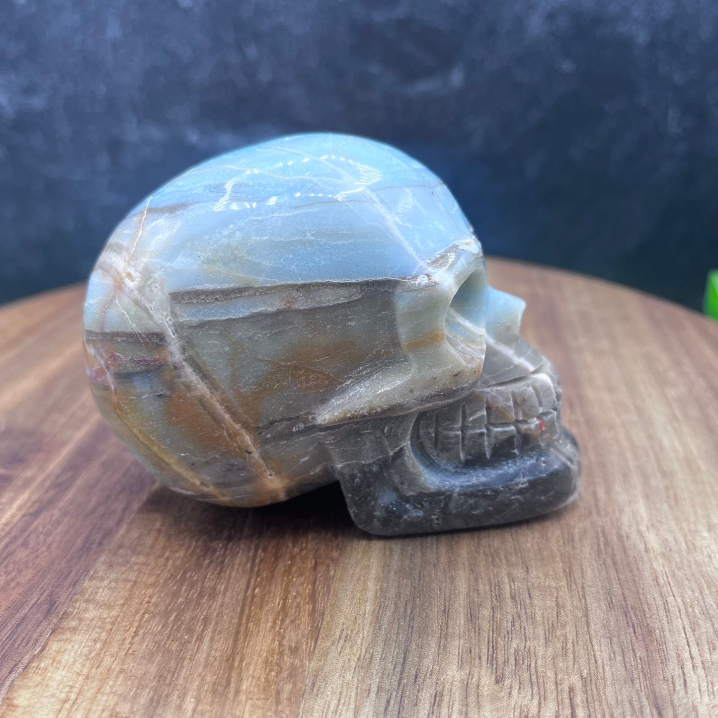 Caribbean Calcite Skull