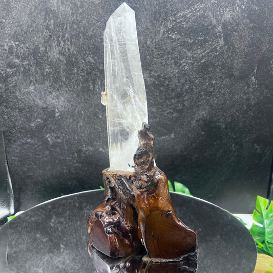 Clear Quartz on Wood Stand