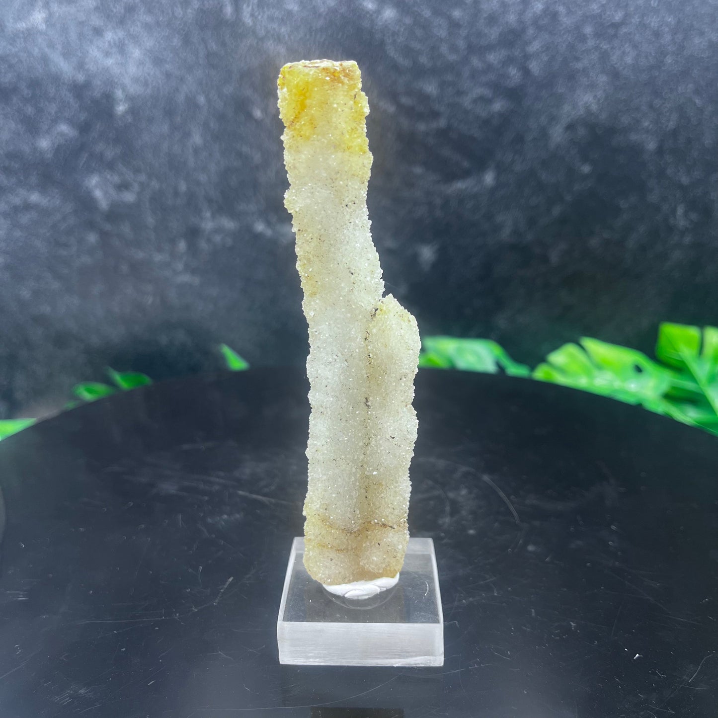 Stalachtite Apophyllte in Quartz