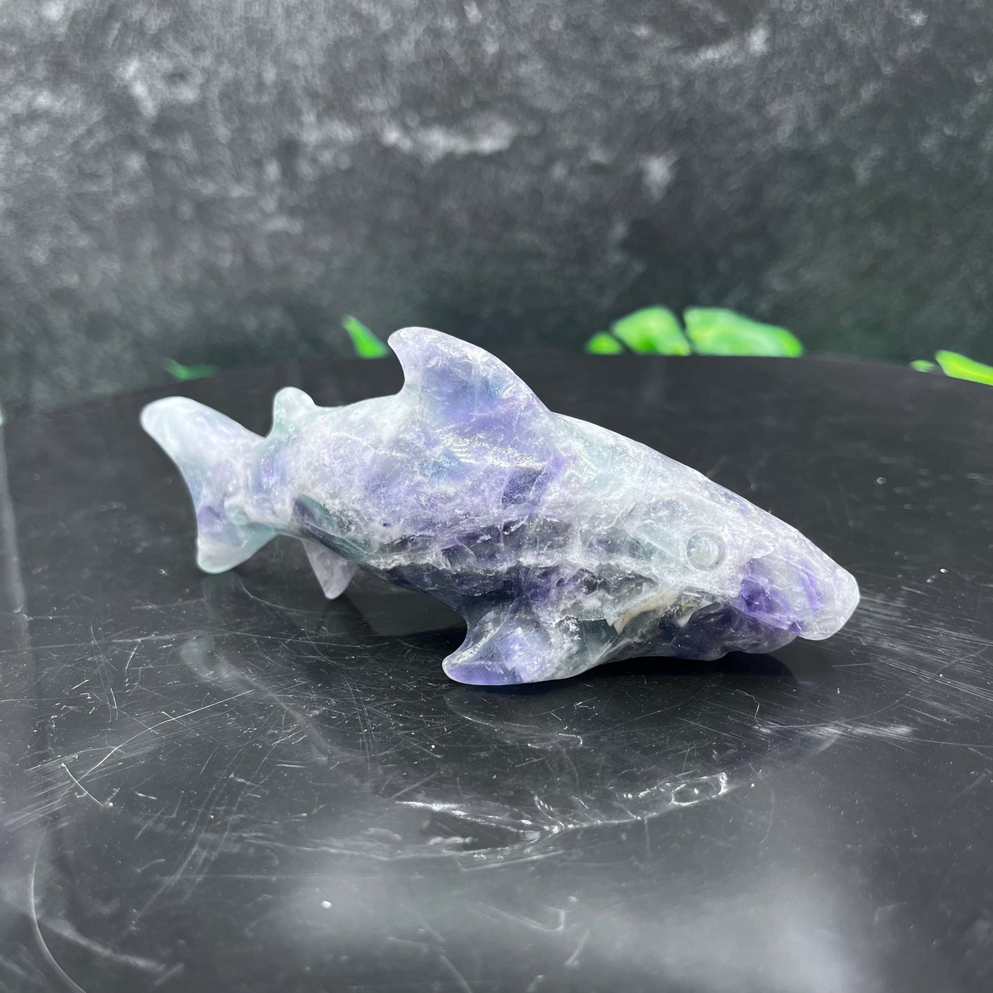 Fluorite Shark