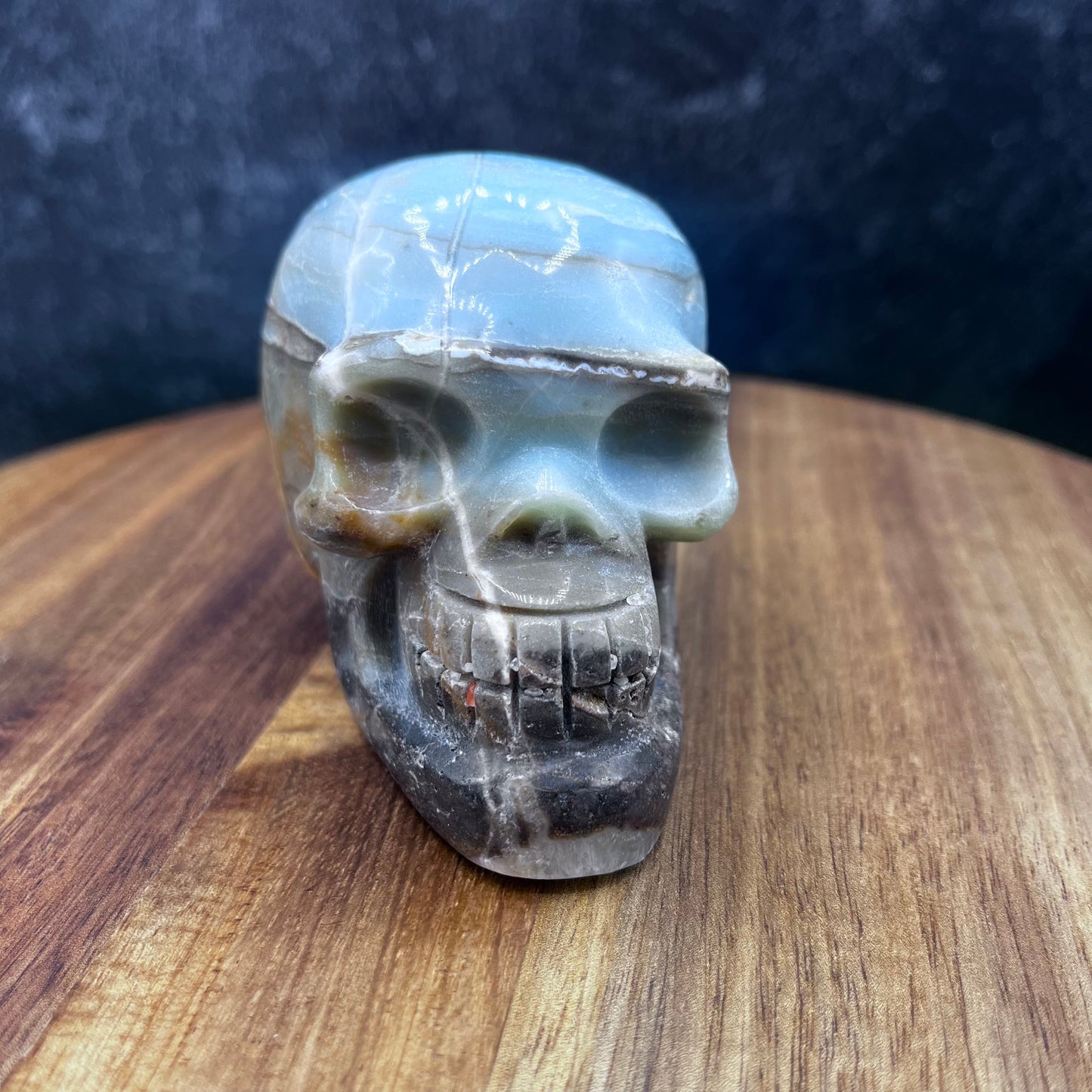 Caribbean Calcite Skull