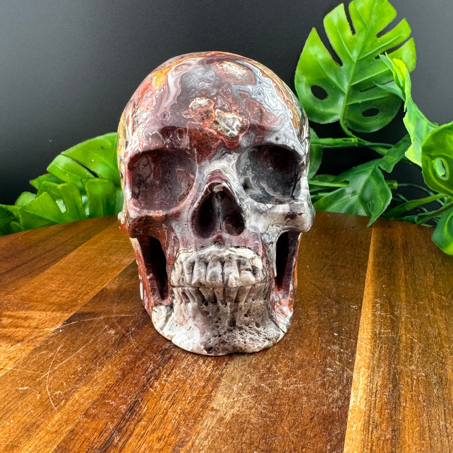 Mexican Crazy Lace Druzy Agate Skull