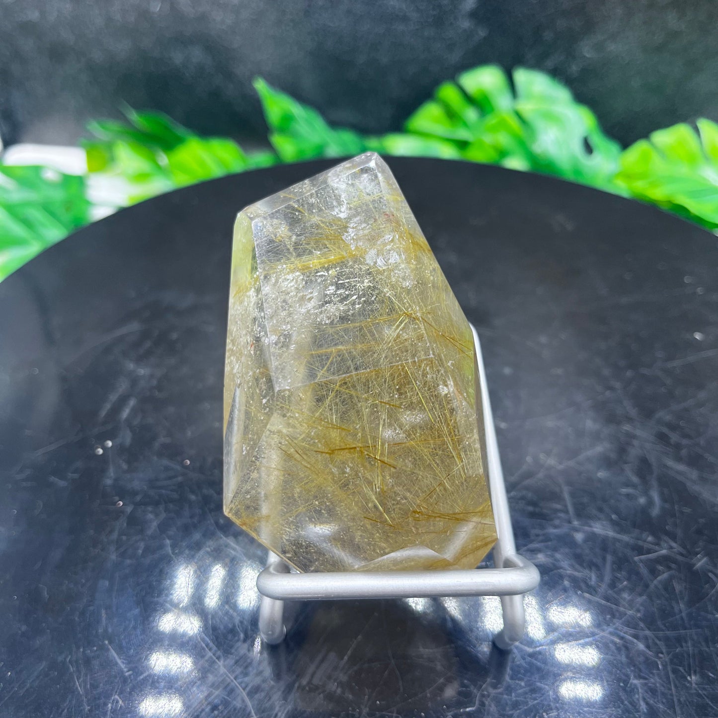 Gold Rutile in Quartz Freeform