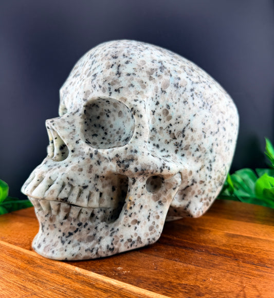 XL 7 inch Kiwi Jasper Skull