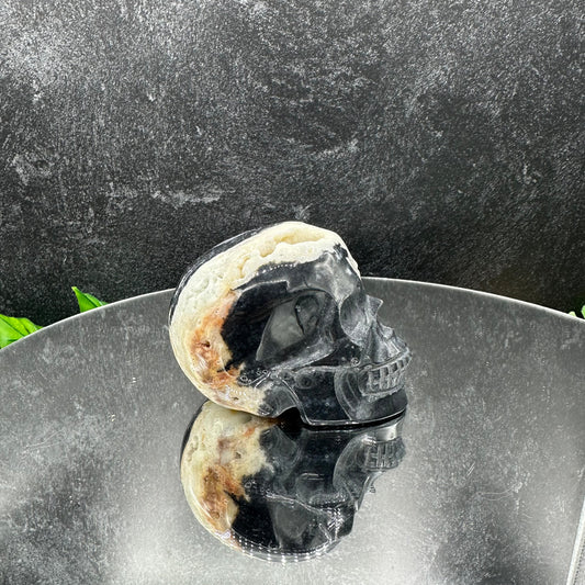 Zebra Agate Druzy Skull