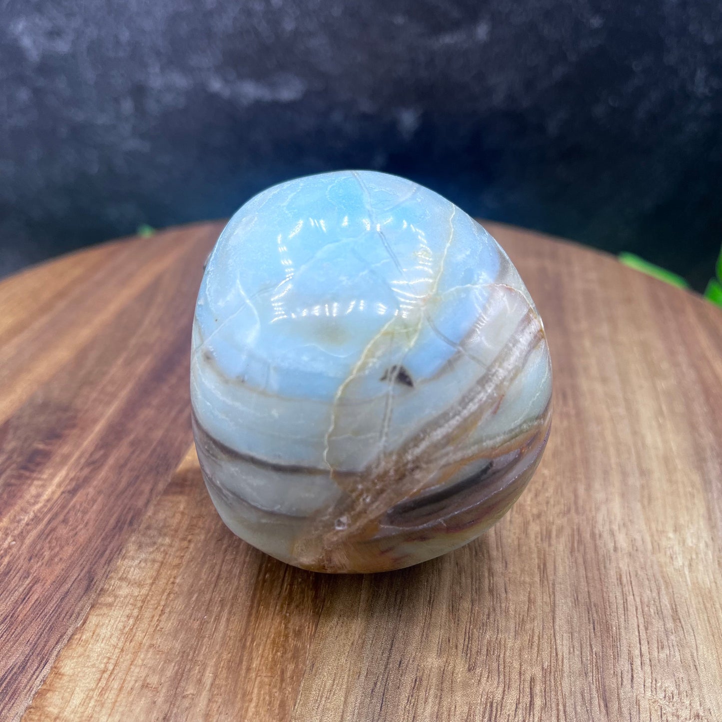 Caribbean Calcite Skull