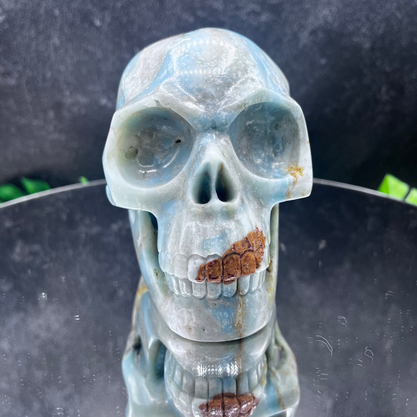 Caribbean Calcite Skull