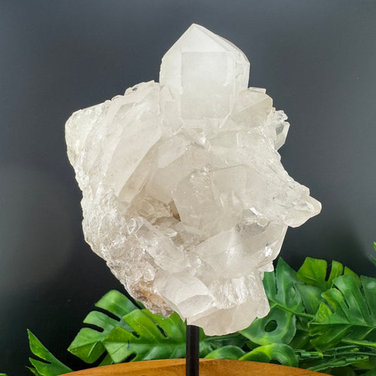 Brazilian Clear Quartz Cluster on Stand